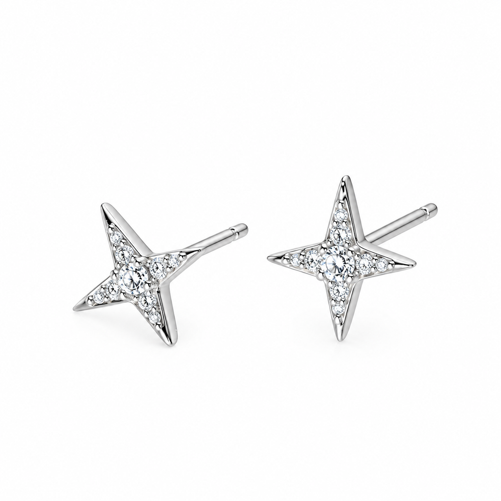 Zircon Star Stud Earrings