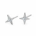 Zircon Star Stud Earrings