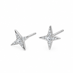 Zircon Star Stud Earrings